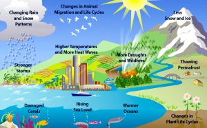 science bee science news কার্বন-ডাই-অক্সাইড