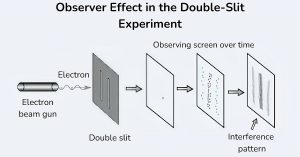 ক্যামেরায় ফ্রেমবন্দি Science Bee Science News