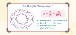 ক্যামেরায় ফ্রেমবন্দি Science Bee Science News