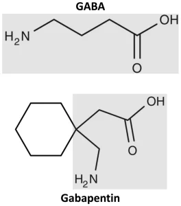 গ্যাবাপেন্টিন science bee science news 