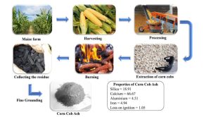 science bee science news উদ্ভাবন